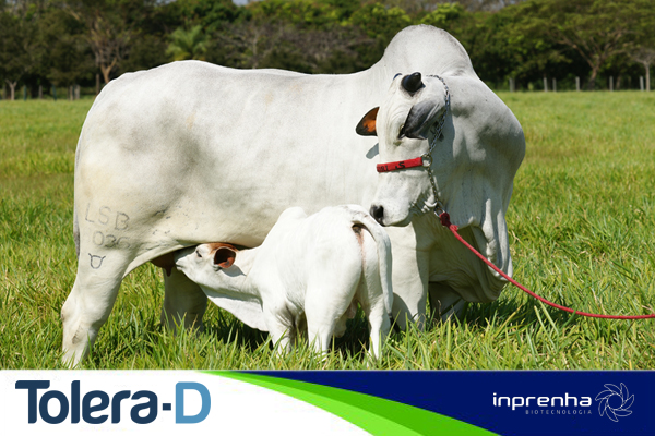 Tolera-D