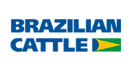 Brazilian Cattle
