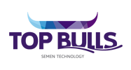 Top Bulls